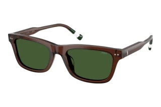 [glasses-front-view] Polo PH4240U (631571)