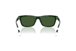 [glasses-back-view] Polo PH4240U (631671)