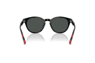 [glasses-back-view] Polo PH4241U (500187)