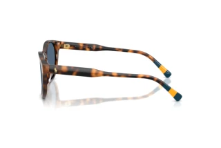 [glasses-side-view] Polo PH4241U (608980)