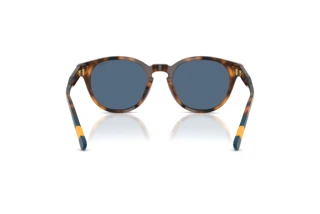 [glasses-back-view] Polo PH4241U (608980)