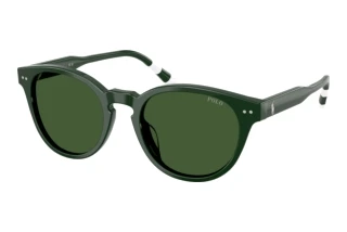 [glasses-front-view] Polo PH4241U (631671)