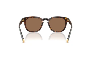 [glasses-back-view] Polo PH4242U (562573)