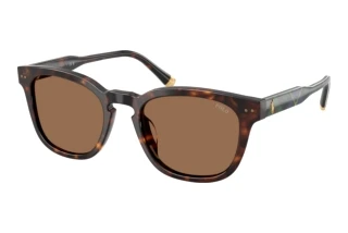 [glasses-front-view] Polo PH4242U (562573)