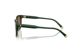 [glasses-side-view] Polo PH4242U (614073)