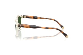 [glasses-side-view] Polo PH4242U (635771)