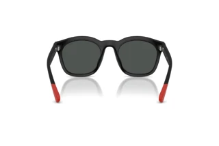 [glasses-back-view] Polo PH4243U (553487)