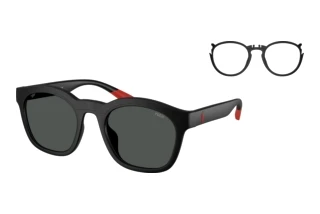 [glasses-front-view] Polo PH4243U (553487)