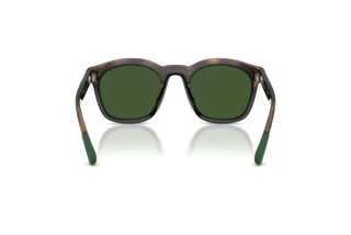 [glasses-back-view] Polo PH4243U (607071)