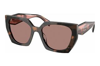 Prada PR 15WS 23A60B Light BrownMauve Tortoise