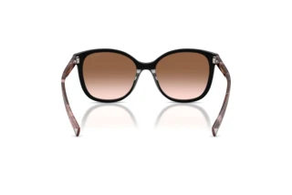 [glasses-back-view] Prada PR 22ZS (28F90P)