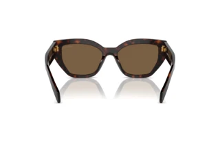 [glasses-back-view] Prada PR A09S (16N5Y1)