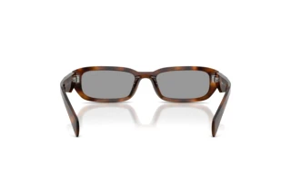 [glasses-back-view] Prada PR B06S (20D50Q)