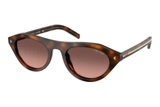 [glasses-front-view] Prada PR B15S (20D11C)