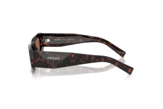 [glasses-side-view] Prada PR B19S (17N06B)