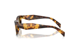 [glasses-side-view] Prada PR C06S (14L09Z)