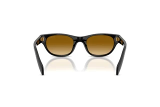 [glasses-back-view] Prada PR C08S (16K10X)