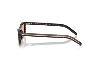 [glasses-side-view] Prada PR D05S (17N50W)