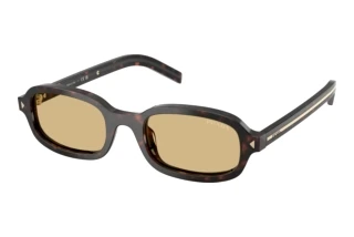 [glasses-front-view] Prada PR D06S (17N70R)