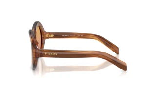 [glasses-side-view] Prada PR D08SU (25O04N)