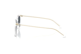[glasses-side-view] Prada PR D15SD (15Z30Z)