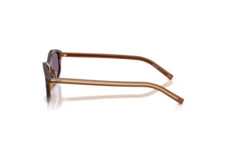 [glasses-side-view] Prada PR D17S (25O70W)