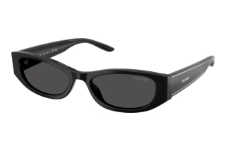 [glasses-front-view] Prada PR D22S (16K08Z)
