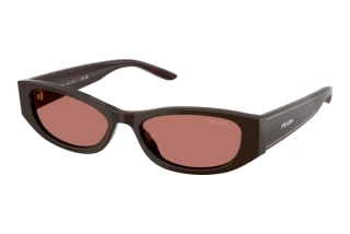 [glasses-front-view] Prada PR D22S (27I80W)