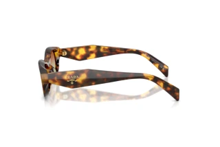 [glasses-side-view] Prada PR D24S (14L70T)