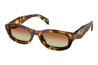 [glasses-front-view] Prada PR D24S (14L70T)