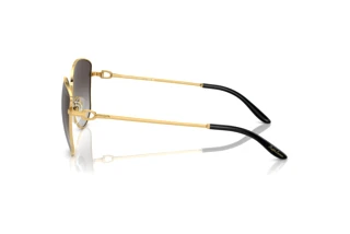 Vista lateral Ralph Lauren THE VIVIENNE (RL7079 - 90048G)