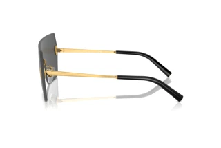 Vista lateral Ralph Lauren THE HARPER (RL7085 - 900487)