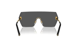 Vista posterior Ralph Lauren THE HARPER (RL7085 - 900487)