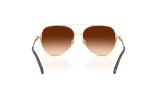 Vista posterior Ralph Lauren RL7087 (911674)