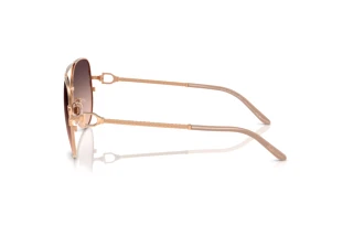 [glasses-side-view] Ralph Lauren RL7087 (9329U8)