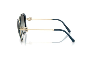 Πλευρική όψη Ralph Lauren RL7088 (911611)