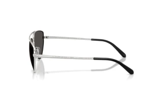 [glasses-side-view] Ralph Lauren RL7090 (900187)