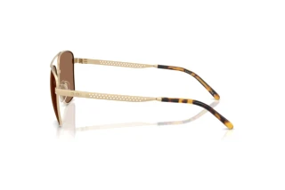 [glasses-side-view] Ralph Lauren RL7091 (947873)
