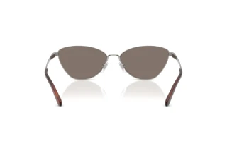 Vedere din spate Ralph Lauren RL7093 (90026G)