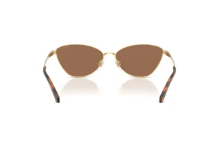 Vedere din spate Ralph Lauren RL7093 (900473)