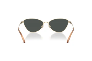 Vedere din spate Ralph Lauren RL7093 (911687)