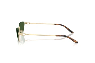 Vista lateral Ralph Lauren RL7095 (911671)