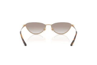[glasses-back-view] Ralph Lauren RL7095 (94876E)