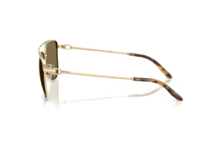 [glasses-side-view] Ralph Lauren RL7096 (911673)