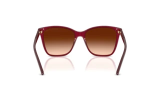 Vista posterior Ralph Lauren RL8201 (591274)