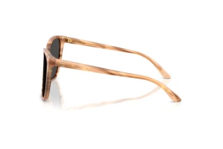 [glasses-side-view] Ralph Lauren RL8201 (617987)