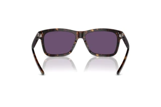 [glasses-back-view] Ralph Lauren RL8203QU (50031A)