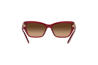 [glasses-back-view] Ralph Lauren THE AUDREY (RL8206U - 591274)