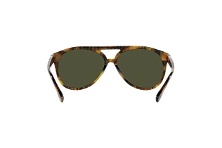 [glasses-back-view] Ralph Lauren THE CRUISER (RL8211U - 501731)