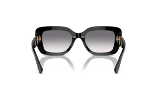 Vista posterior Ralph Lauren THE NIKKI (RL8217U - 500179)